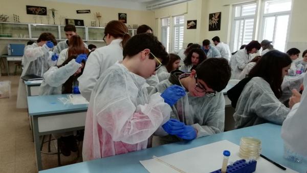 Alumnado participante en el proyecto ganador del IX Premio Universidad de Jaén a la Divulgación Científica. Alumnado participante en el proyecto ganador del IX Premio Universidad de Jaén a la Divulgación Científica.