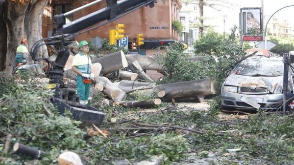 Imagen de los efectos del temporal Dana en la provincia de Málaga. Imagen de los efectos del temporal Dana en la provincia de Málaga.