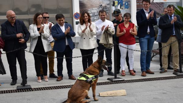 Exhibición en Ibercaza con un perro adiestrado en localizar cebos envenenados en el campo. Exhibición en Ibercaza con un perro adiestrado en localizar cebos envenenados en el campo.