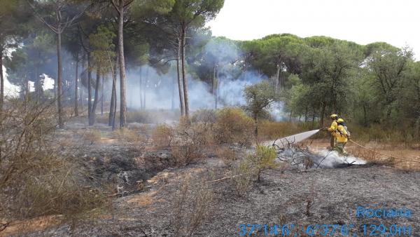 Imagen de un incendio declarado en el término municipal de Almonte (Huelva). Imagen de un incendio declarado en el término municipal de Almonte (Huelva).