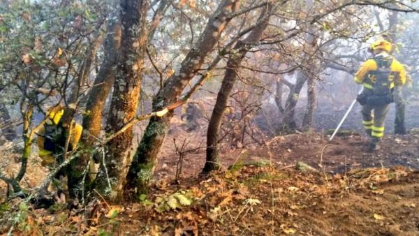 BRIF trabajan en los medios de extinción del incendio de Poyales del Hoyo (Ávila). BRIF trabajan en los medios de extinción del incendio de Poyales del Hoyo (Ávila).