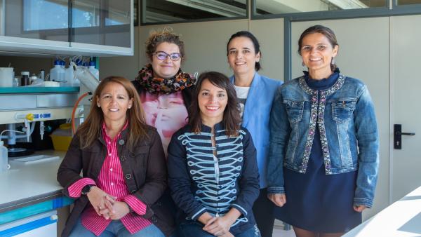 Investigadores de la UPNA que estudian cómo reducir mediante nuevas tecnologías el miedo de los niños a las inyecciones. De pie (de izq. A dcha.), Paula Escalada, Leticia San Martín y Raquel Sáenz. Sentadas, Nely Soto (izq.) y Marta Ferraz. Investigadores de la UPNA que estudian cómo reducir mediante nuevas tecnologías el miedo de los niños a las inyecciones. De pie (de izq. A dcha.), Paula Escalada, Leticia San Martín y Raquel Sáenz. Sentadas, Nely Soto (izq.) y Marta Ferraz.