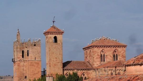 Bandada de cigüeñas en la Catedral de Sigüenza Bandada de cigüeñas en la Catedral de Sigüenza