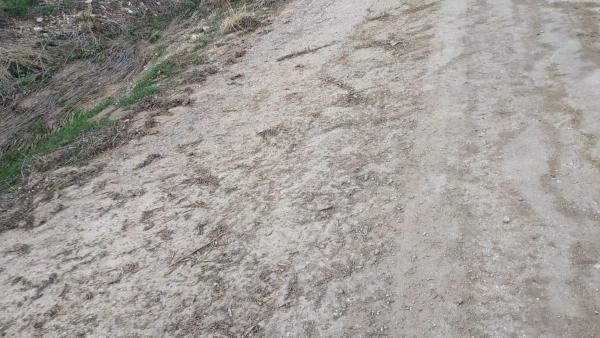 Estado de una carretera de la Diputación de Jaén Estado de una carretera de la Diputación de Jaén
