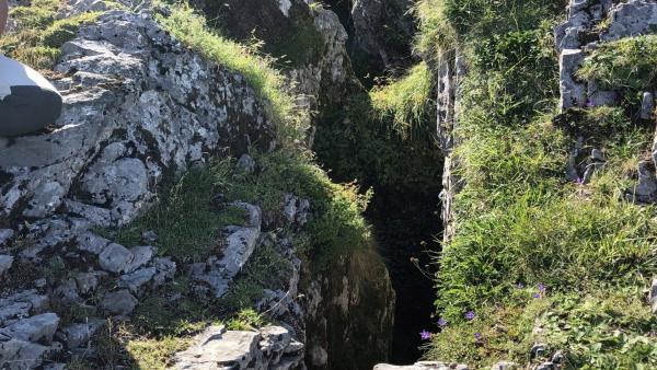 El hallazgo fue en la zona oriental de los Picos de Europa (macizo de Ándara) dentro de los límites de Cantabria, concretamente en el interior de una torca denominada 'La Topinoria' El hallazgo fue en la zona oriental de los Picos de Europa (macizo de Ándara) dentro de los límites de Cantabria, concretamente en el interior de una torca denominada 'La Topinoria'