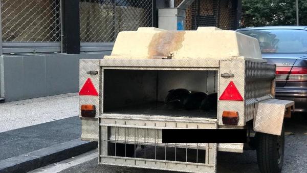 Investigan a un hombre en Vitoria por transportar mil kilos de pescado en un transporte para perros y sin refrigerar. Investigan a un hombre en Vitoria por transportar mil kilos de pescado en un transporte para perros y sin refrigerar.