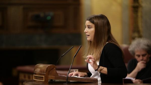 La diputada de Ciudadanos por Sevilla en el Congreso, Virginia Salmerón. La diputada de Ciudadanos por Sevilla en el Congreso, Virginia Salmerón.