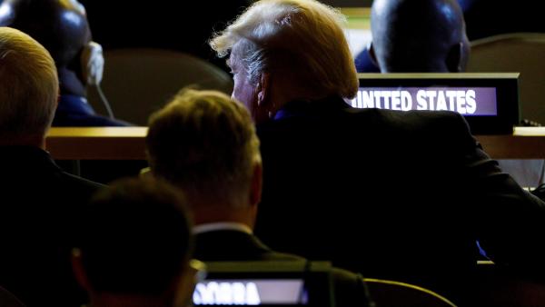 Donald Trump Donald Trump
