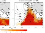 Olas de calor en 2018 y 2019