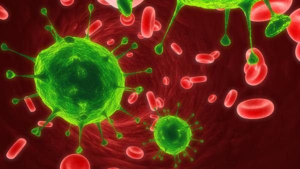 Bacterias Bacterias