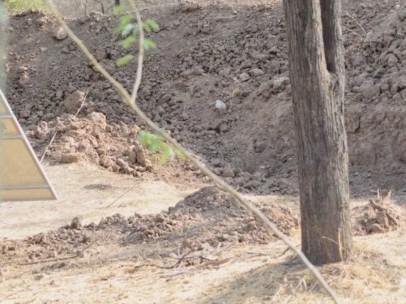 El leopardo camuflado