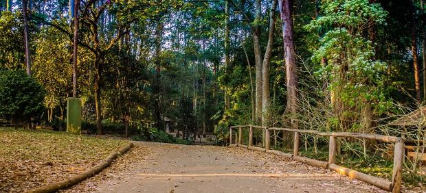 Parque Anhanguera, en Sao Paulo