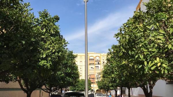 Alcalá de Guadaíra retira de su alumbrado público las lámparas de mercurio y las sustituye con tecnología led Alcalá de Guadaíra retira de su alumbrado público las lámparas de mercurio y las sustituye con tecnología led
