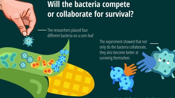 BACTERIAS CONTRADICEN A DARWIN BACTERIAS CONTRADICEN A DARWIN