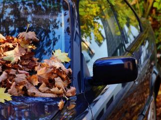 Siete claves para que tu coche afronte el otoño