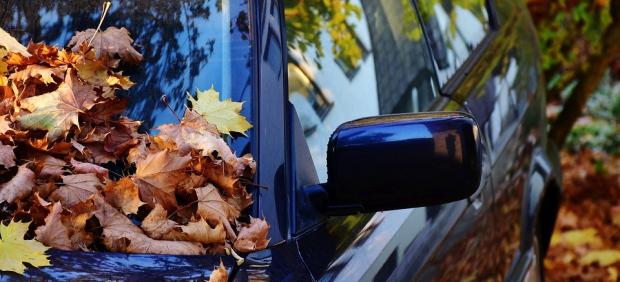 1096297 620 282 - Siete claves para que tu coche afronte el otoño