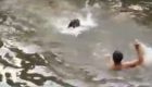 La sorprendente reacción de un perro al creer que su dueño se está ahogando