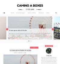http://www.caminoaboxes.com