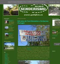 http://www.gabifem.es/