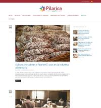 http://www.pilarica.es/noticias/