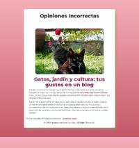 http://www.opinionesincorrectas.com