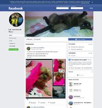 https://www.facebook.com/pages/Las-mascotas-de-Piluca/769281543142337