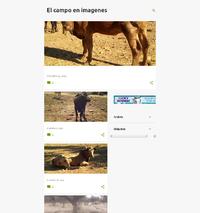 https://campoenimagenes.blogspot.com.es/