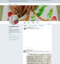 https://twitter.com/manualitatsinfa