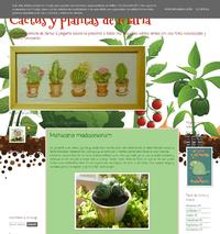 http://cactusmaria.blogspot.com.es/