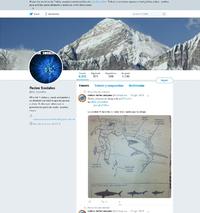 https://twitter.com/DC_SocialNet