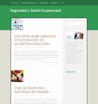 http://seguridadysaludocupacional.com/