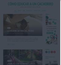 http://comoeducarauncachorro.com/blog